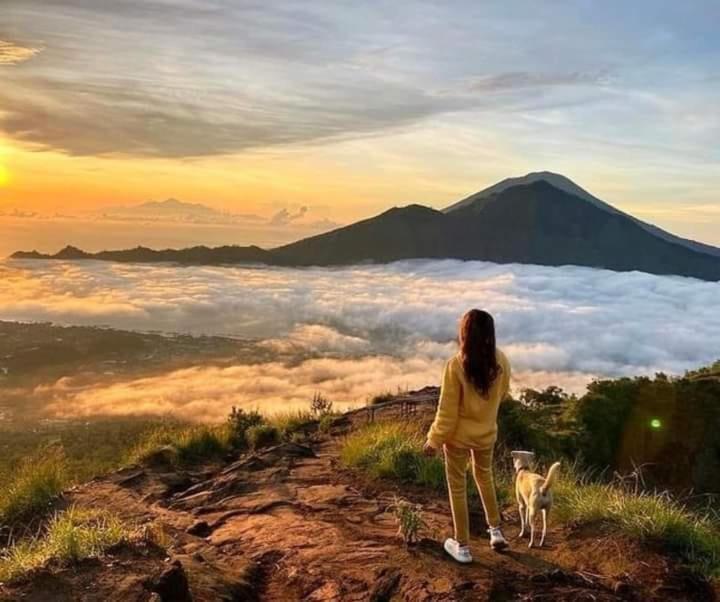 The Donno Ubud Guest House المظهر الخارجي الصورة
